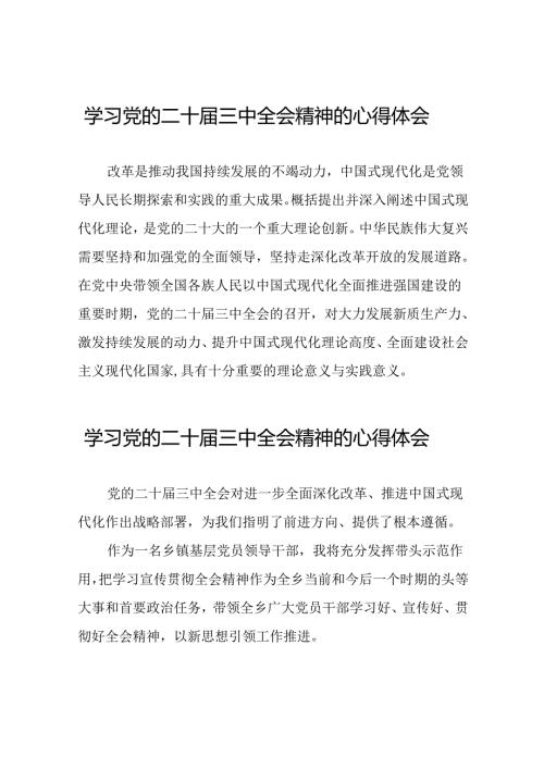 党员干部关于二十三中全会精神的心得体会发言稿33篇.docx