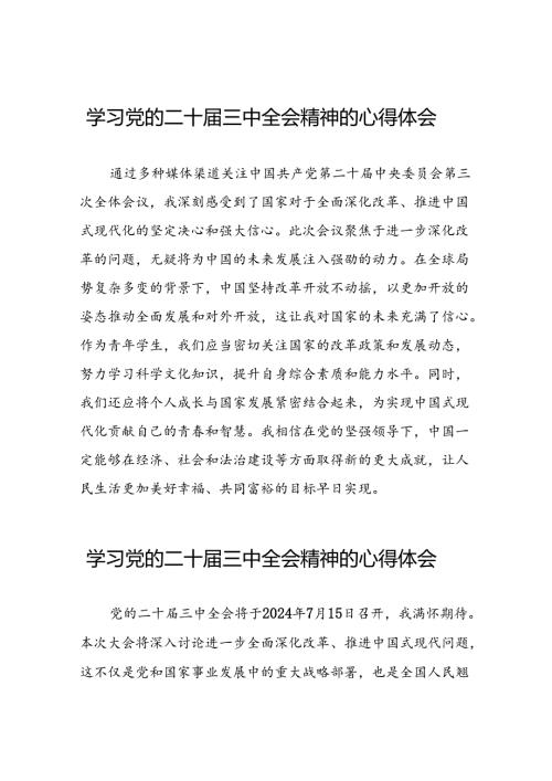 十五篇学习贯彻党的二十三中全会精神心得体会范文.docx