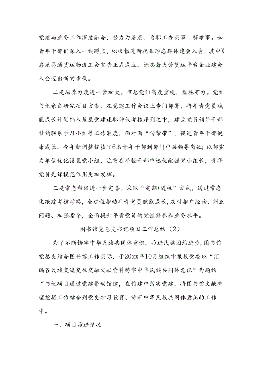 (2篇)书记项目工作总结汇报.docx_第3页