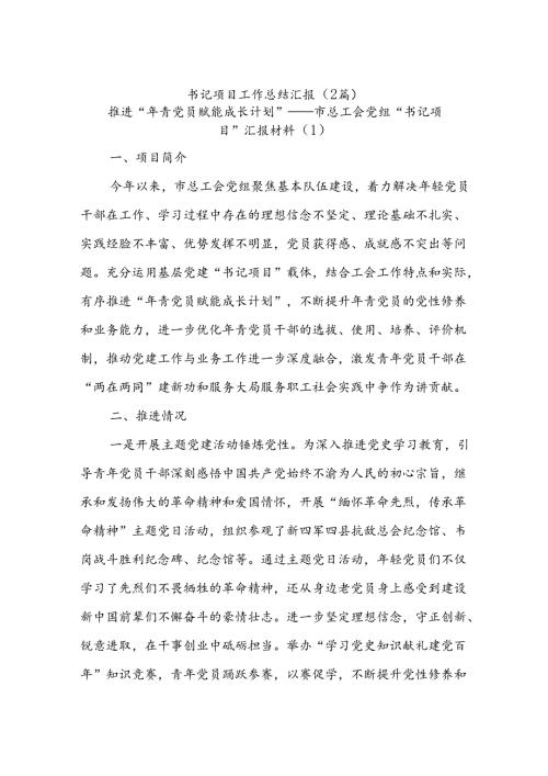 (2篇)书记项目工作总结汇报.docx