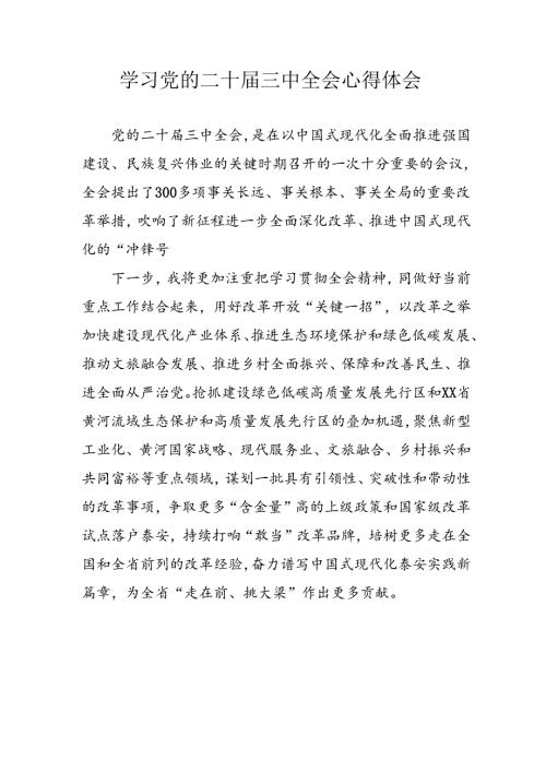 学习2024年学习党的二十三中全会个人心得体会 （合计4份）.docx