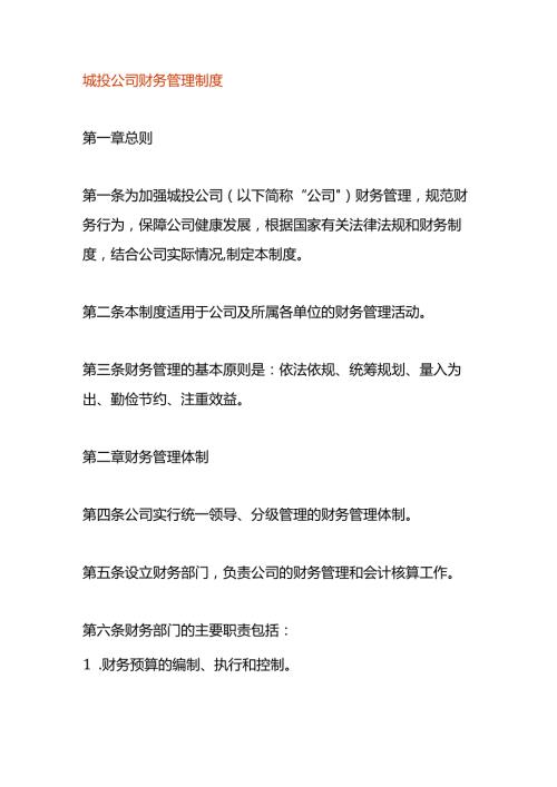 城投公司财务管理制度.docx