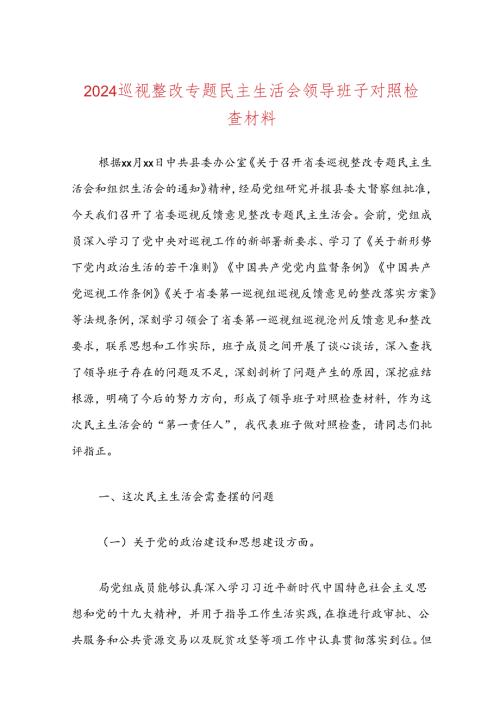 2024巡视整改专题民主生活会领导班子对照检查材料.docx