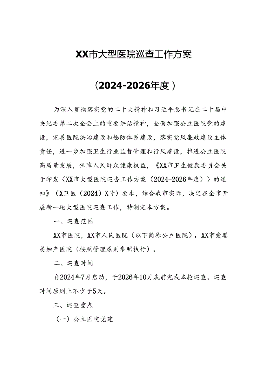 XX市大型医院巡查工作方案.docx_第1页