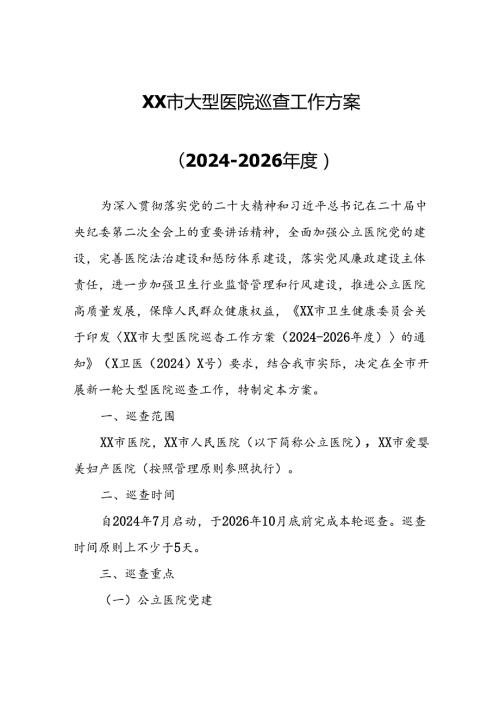 XX市大型医院巡查工作方案.docx
