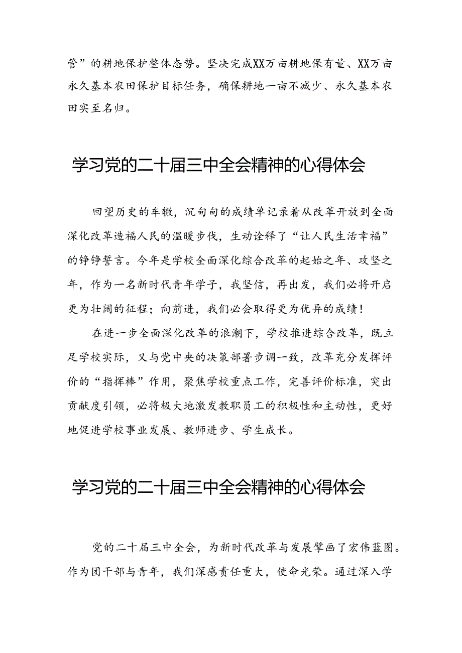 2024年党的二十三中全会精神学习体会研讨发言稿三十篇.docx_第2页