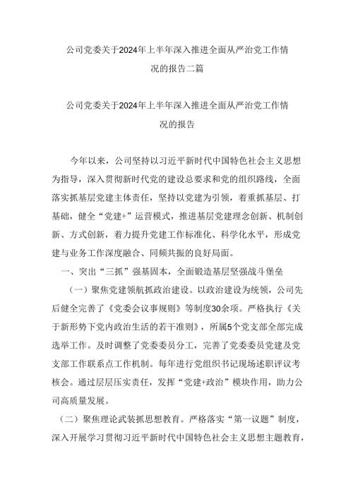 公司党委关于2024年上半年深入推进全面从严治党工作情况的报告二篇.docx