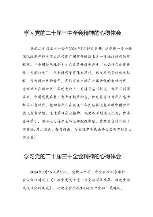 2024年学习贯彻二十三中全会精神心得体会研讨发言材料二十七篇.docx