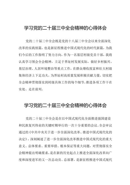 2024年党的二十三中全会精神学习感悟最新版范本39篇.docx