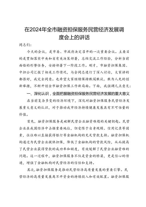 在2024年全市融资担保服务民营经济发展调度会上的讲话.docx