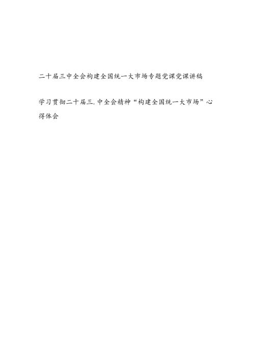 学习贯彻二十三中全会精神“构建全国统一大市场”党课讲稿心得体会研讨发言2篇.docx