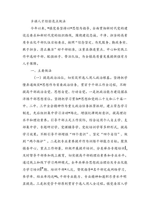 乡镇人才经验亮点做法.docx