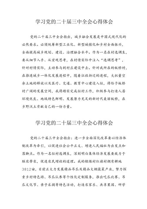 学习2024年党的二十三中全会心得体会 （13份）62.docx