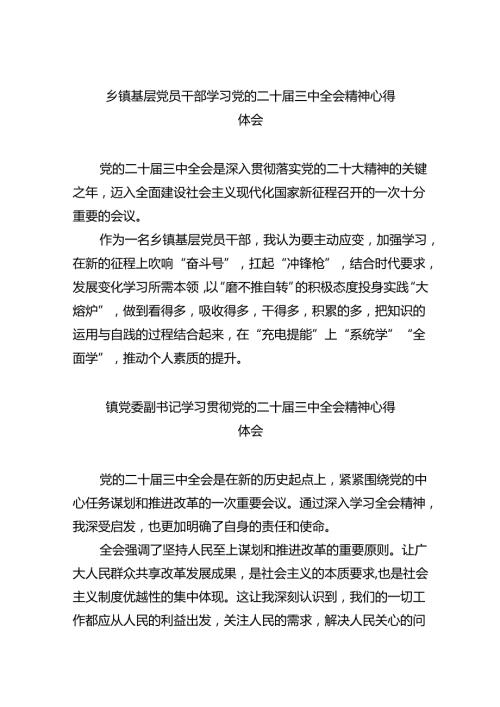 乡镇基层党员干部学习党的二十三中全会精神心得体会8篇（精选版）.docx