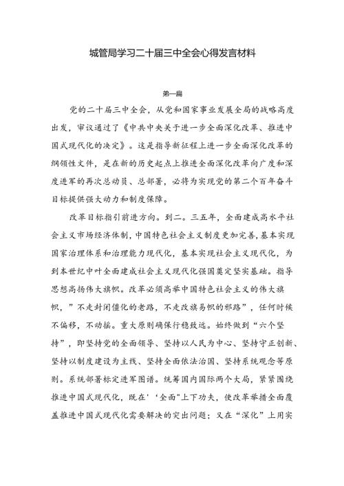 城管局学习二十三中全会心得发言材料6篇.docx