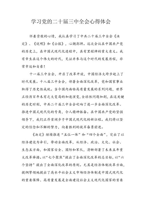 学习2024年学习党的二十三中全会个人心得感悟 （4份）55.docx
