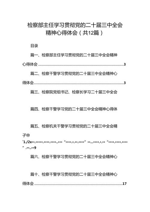 检察部主任学习贯彻党的二十三中全会精神心得体会12篇（精选）.docx