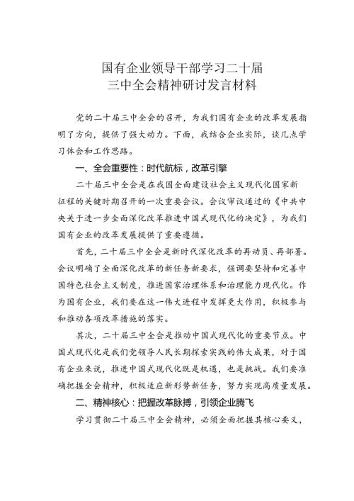 国有企业领导干部学习二十三中全会精神研讨发言材料.docx