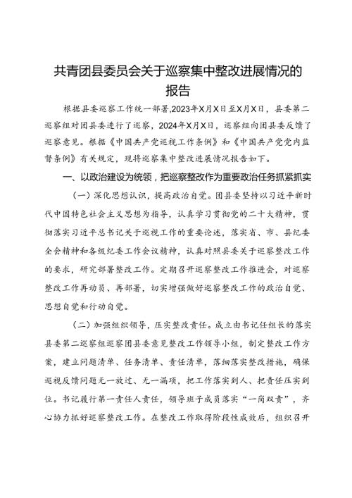 共青团县委员会关于巡察集中整改进展情况的报告(1).docx