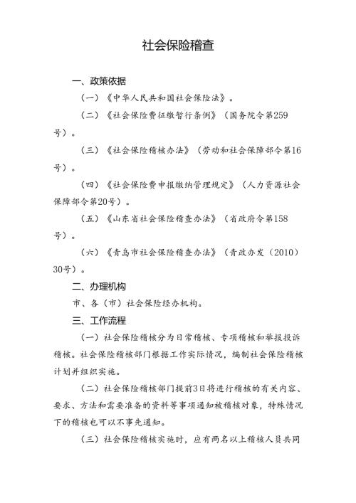 社会保险支付稽核业务说明书.docx