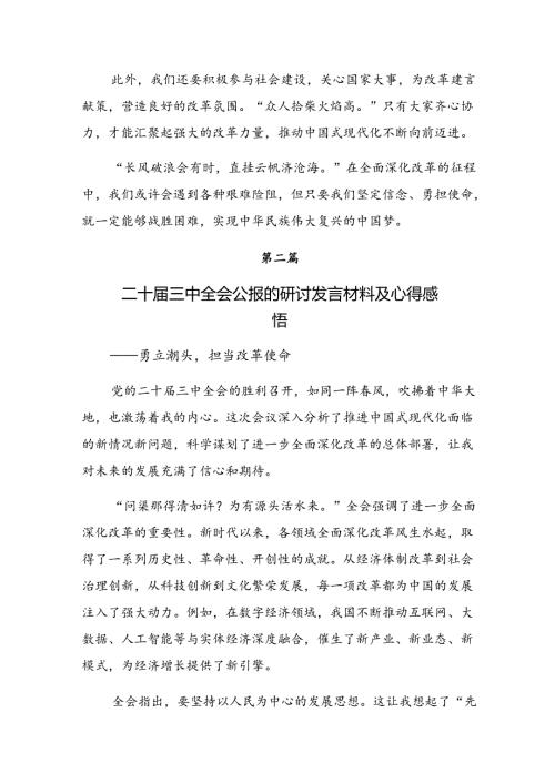 关于围绕2024二十三中全会研讨交流发言提纲、心得体会（十篇）.docx