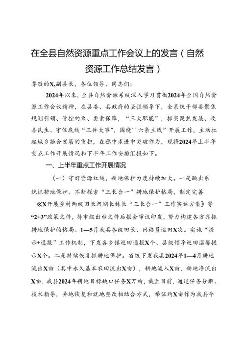 在全县自然资源重点工作会议上的发言（自然资源工作总结发言）.docx