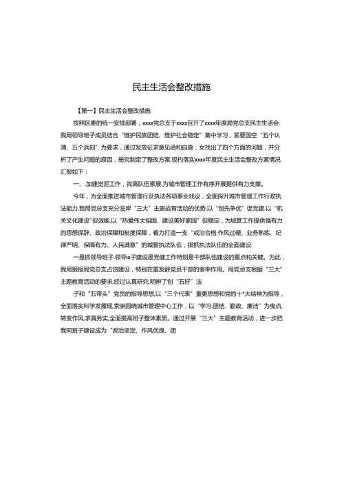 民主生活会整改措施.docx