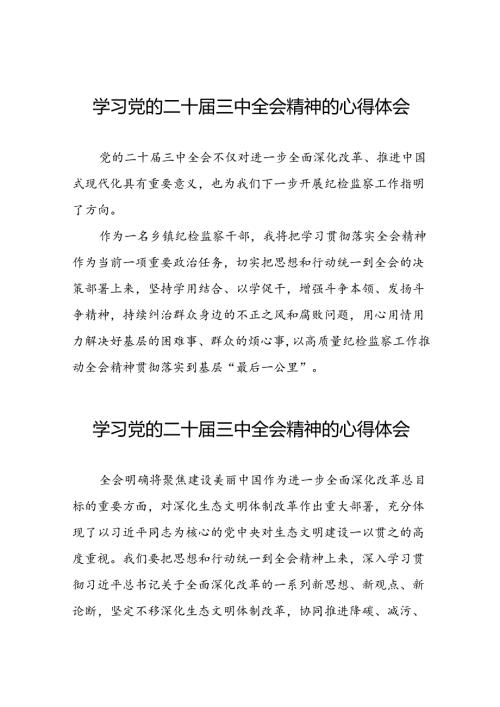 2024年党的二十三中全会精神学习感悟最新模板28篇.docx