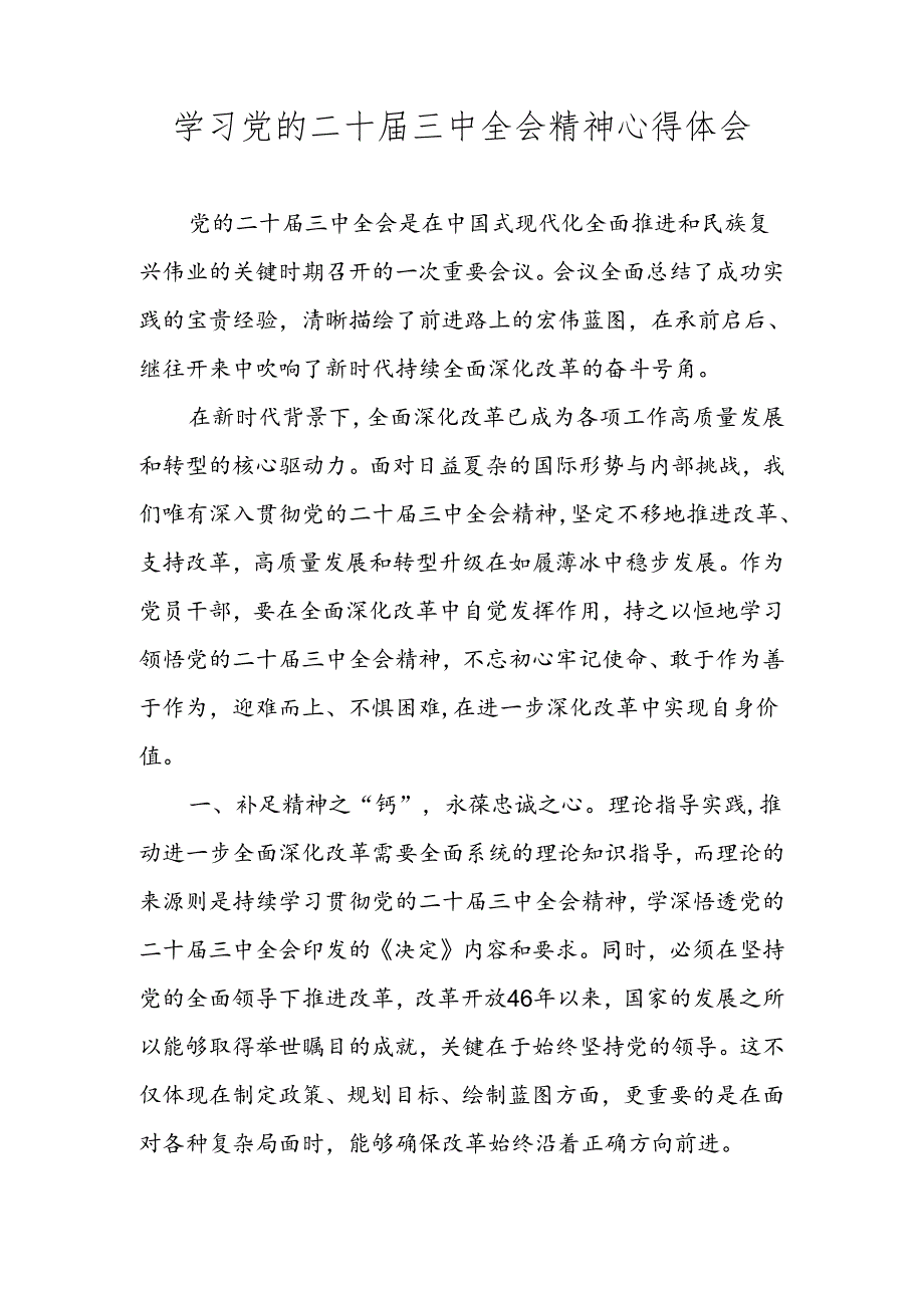 2024年党的二十三中全会精神专题学习研讨交流发言材料心得体会汇编 五篇.docx_第1页