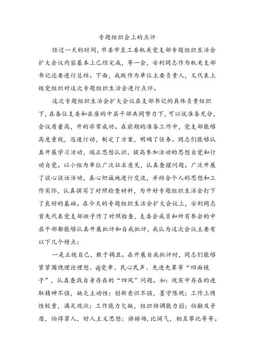 专题组织会上的点评.docx