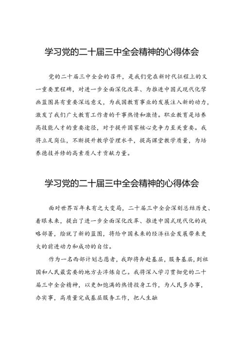 学习二十三中全会精神的心得体会简要发言三十篇.docx