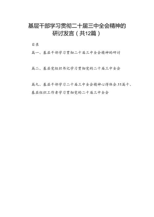 基层干部学习贯彻二十三中全会精神的研讨发言（共12篇）.docx