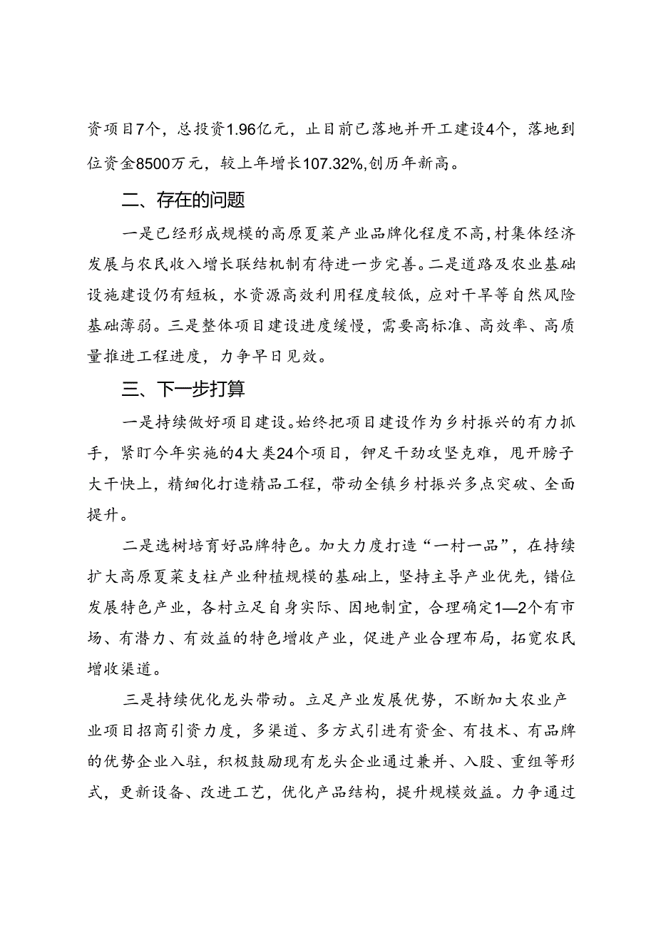 在县委农村工作领导小组（县实施乡村振兴战略领导小组）暨全县帮扶工作领导小组2024年第三次（扩大）会议上的发言(1).docx_第3页