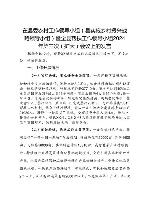 在县委农村工作领导小组（县实施乡村振兴战略领导小组）暨全县帮扶工作领导小组2024年第三次（扩大）会议上的发言(1).docx