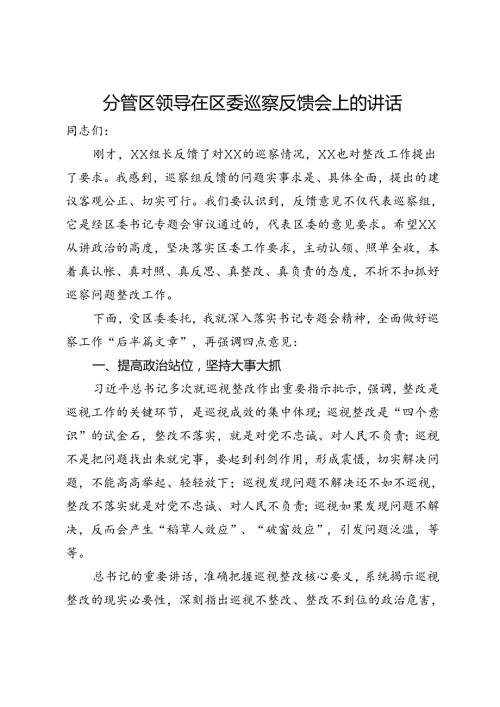 分管区领导在区委巡察反馈会上的讲话(2).docx