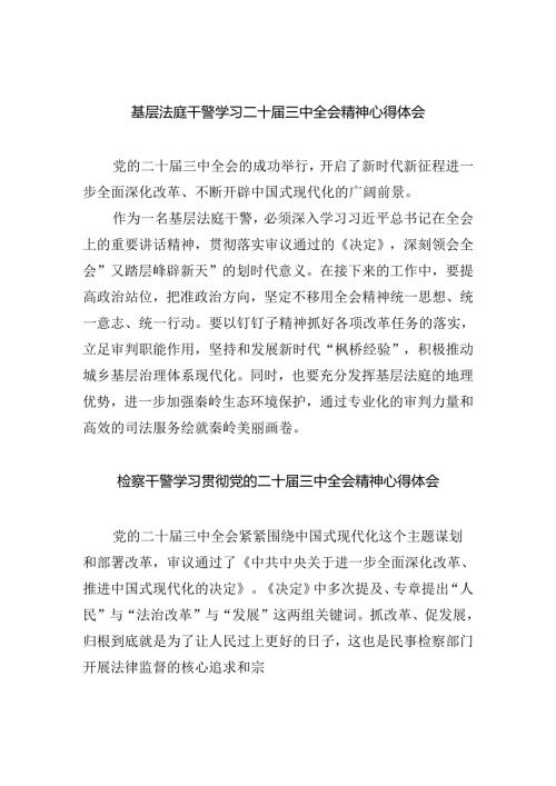 基层法庭干警学习二十三中全会精神心得体会（共8篇）.docx