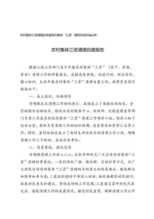 2024年农村集体三资清理自查报告、村集体“三资”管理存在的问题分析.docx