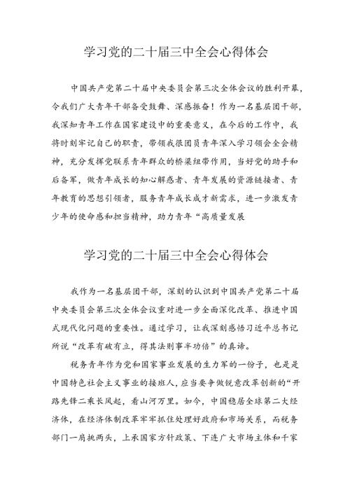 学习2024年党的二十三中全会心得体会 （10份）69.docx