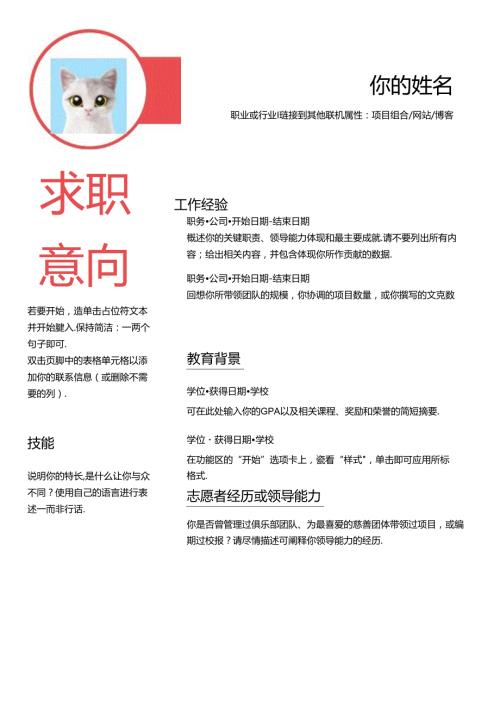 20242025大学生个人简历模板三.docx