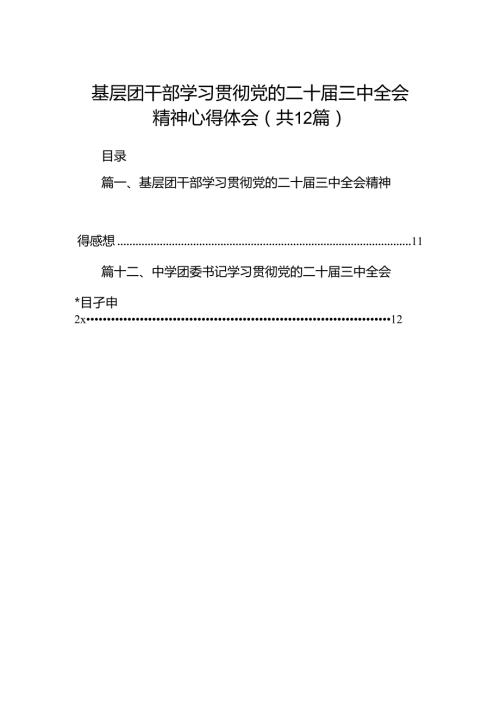基层团干部学习贯彻党的二十三中全会精神心得体会12篇供参考.docx