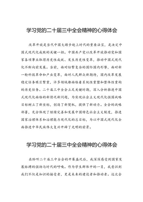 学习二十三中全会的心得体会模板二十六篇.docx