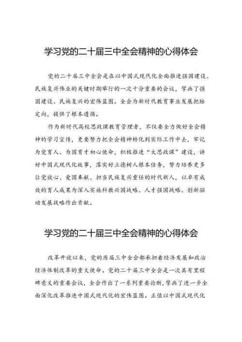 学习贯彻二十三中全会精神的心得体会发言28篇.docx