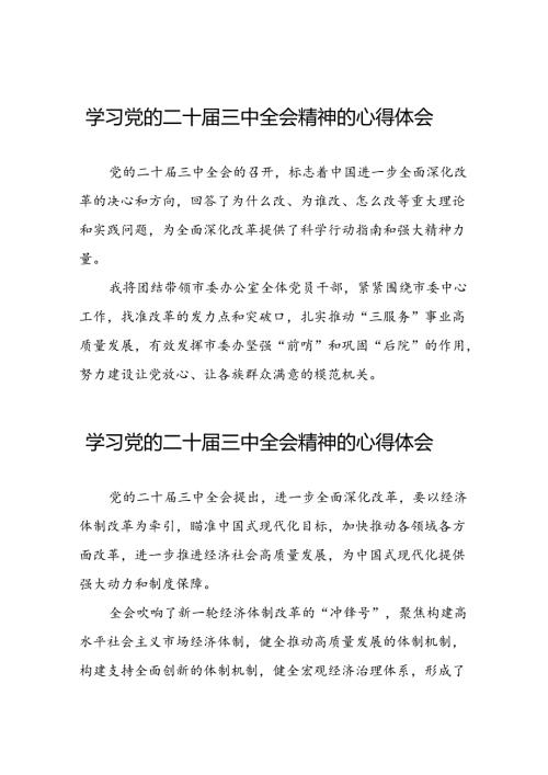 深入学习贯彻党的二十三中全会的心得感悟33篇.docx