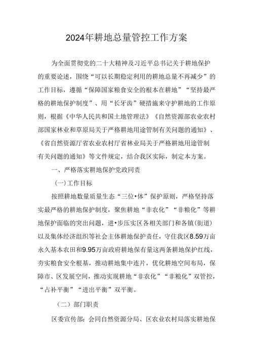 2024年耕地总量管控工作方案.docx
