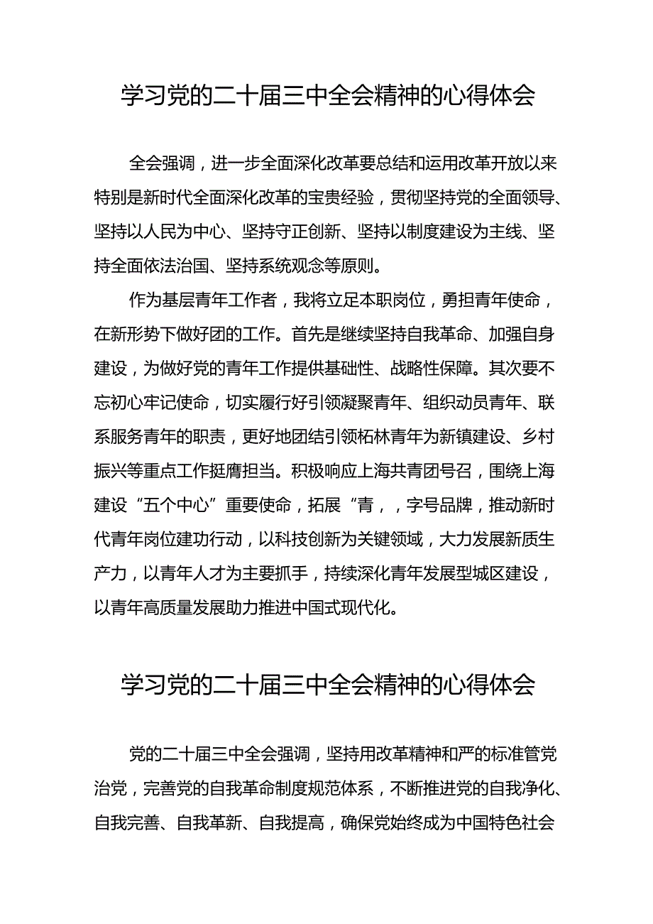2024年党的二十三中全会精神学习感悟汇编十四篇.docx_第2页