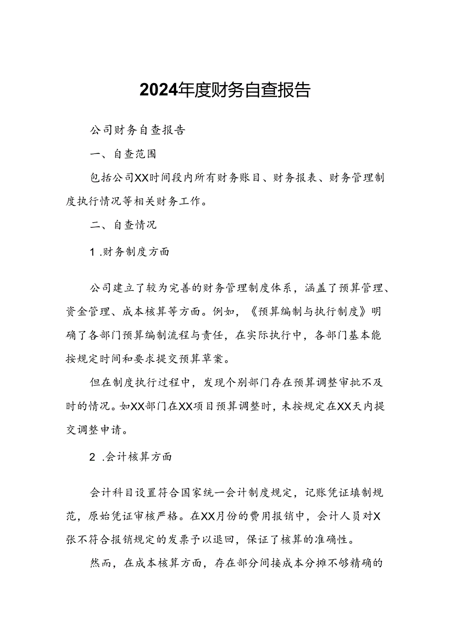 2024财务自查报告.docx_第1页