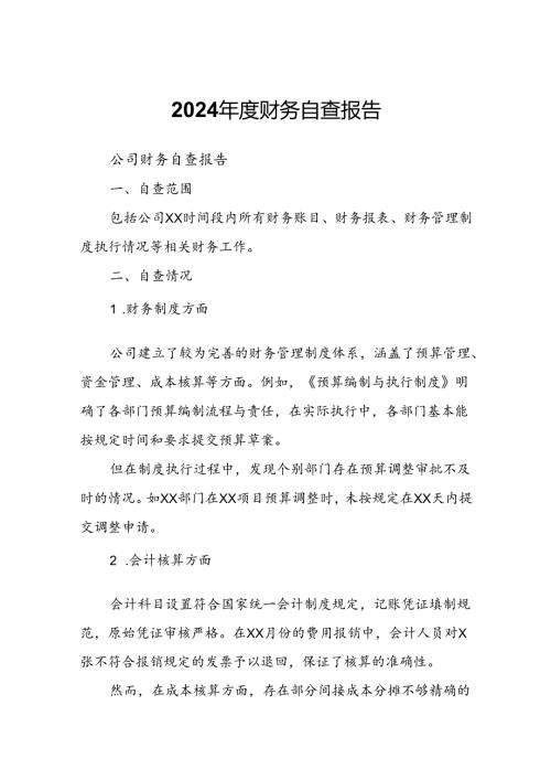 2024财务自查报告.docx