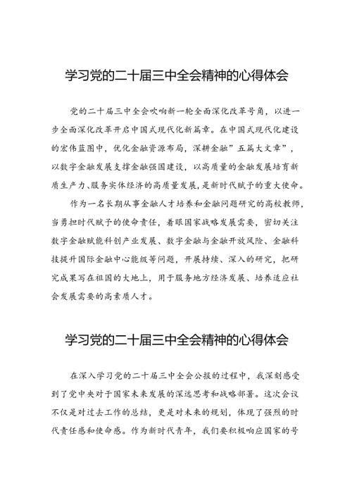 关于二十三中全会精神心得体会.docx