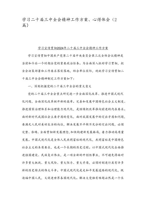 学习二十三中全会精神工作方案、心得体会（2篇）.docx
