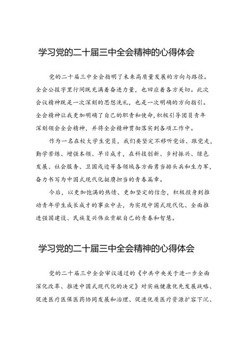 学习贯彻党的二十三中全会精神的心得体会简短交流发言材料模板33篇.docx